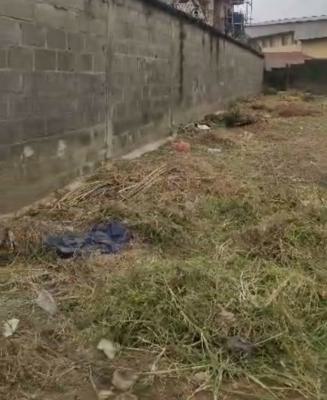 a Standard, Executive Land, Guzape District, Abuja, Mixed-use Land for Sale