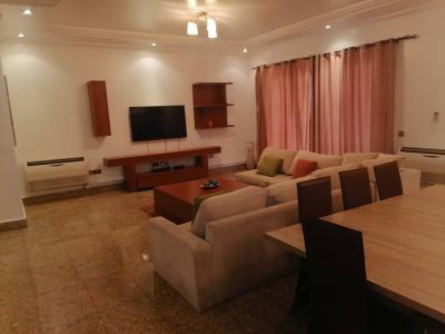 Furnished 2 Bedrooms Flat, Ikoyi, Lagos, Flat / Apartment for Rent