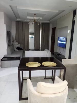 Furnished and Serviced 2 Bedroom Apartment with 24hrs Light and Gym, Ikate, Lekki, Lagos, House for Rent