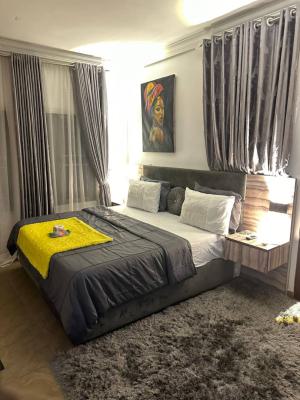 Furnished 2 Bedroom Apartment in an Estate, Tarred Road, Wuye, Abuja, House for Sale