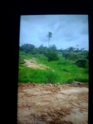 Land in Asaba, 56 Old Market Road Beside Total Filling Station Onitsha, Asaba, Delta, Mixed-use Land for Sale