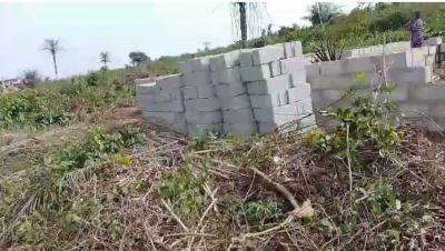 Affordable Lands, Valuetop Garden Odonoko Iloti, Epe, Lagos, Mixed-use Land for Sale