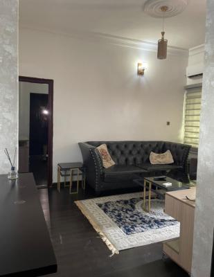 Beautifully Furnished Apartment, Chevron Drive, Lekki, Lagos, Mini Flat (room and Parlour) for Rent