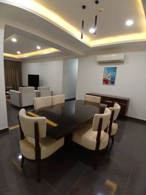 Fully Furnished 2 Bedroom Apartment with Bq, Asokoro Main, Asokoro District, Abuja, Flat / Apartment for Rent