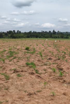 Govt Approved Estate Strategically Located Land, Rosewood Supreme Estate Phase 2, Nando, Awka, Anambra, Mixed-use Land for Sale