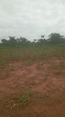 2400 Sqm  Resdential Katampe  Main, Katampe  Main, Katampe, Abuja, Residential Land for Sale
