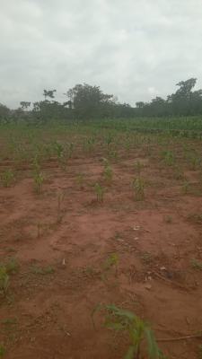 1300 Sqm Resd3ntial.katampe Main, Katampe Main, Katampe, Abuja, Residential Land for Sale