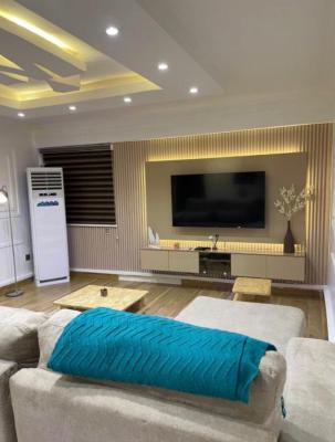 Exquisite 2bedroom Furnished Apartment, Wuse 2, Wuse 2, Abuja, Flat / Apartment for Rent