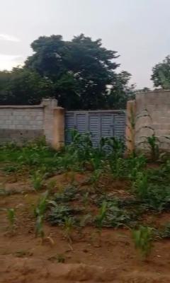 1,230sqm, Residential, C of O, Katampe (main), Katampe, Abuja, Residential Land for Sale