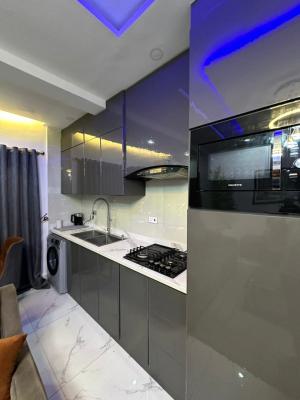 Luxury 1 Bedroom Cozy Apartment, Ikate Elegushi, Lekki, Lagos, Flat / Apartment Short Let