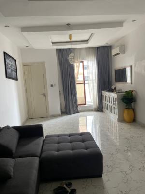 2 Bedroom Nearly Furnished Duplex, Ikate Elegushi, Lekki, Lagos, Flat / Apartment for Rent