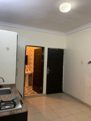 Freshly Renovated Self-con Available, Sangotedo, Ajah, Lagos, Self Contain (single Rooms) for Rent
