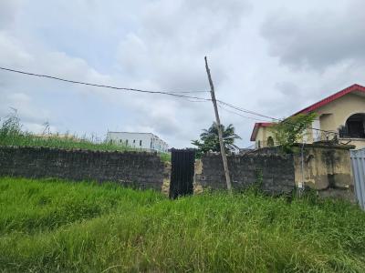 Sweet Land in a Prime Location in Thomas Estate, Thomas Estate Ajah-lagos, Ajah, Lagos, Land for Sale