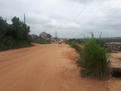 Survey, Behind Famous Winners Chapel Church, Ado-odo/ota, Ogun, Mixed-use Land for Sale