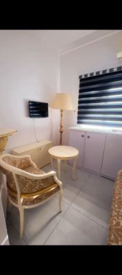 Room and Parlour Furnish Apartment, Ikoyi, Lagos, Mini Flat (room and Parlour) for Rent