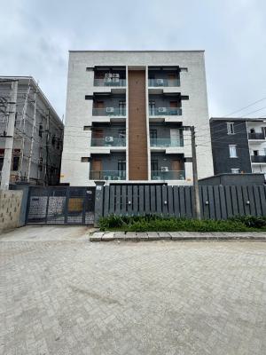 Tastefully Furnished 2 Bedroom Apartment, Ikate, Lekki, Lagos, Flat / Apartment for Rent