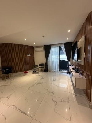 High End 2 Bedroom with a Bq, Victoria Island (vi), Lagos, Flat / Apartment for Sale