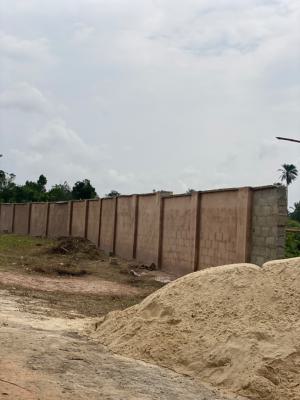 Acre & Hectare Offers for Smart Investors!, Ibefun, Abeokuta South, Ogun, Mixed-use Land for Sale