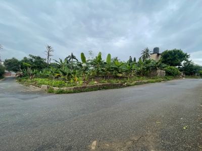 Strategically Located  Residential Plot of Land Measuring 1600sqm, Orelere Street, Ikolaba Main Estate, Ibadan North, Oyo, Residential Land for Sale