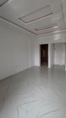 Luxury Newly 2 Bedroom Apartment with Water Heater, Surulere, Lagos, Flat / Apartment for Rent