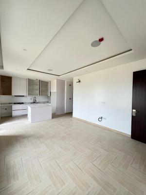 Ideal Investment with Tons of Potential, Ikate, Lekki, Lagos, Flat / Apartment for Sale