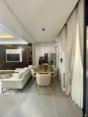 Brand New Fully Furnished 2 Bedroom Maisonette with 1 Room Bq, Bourdillon, Ikoyi, Lagos, Flat / Apartment for Rent