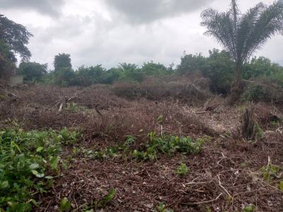 820sqm Prime Dry Land for Immediate Development, Ajayi Apata Estate Off Lekki Epe Express Way By Shoprite Jesutedo..., Lekki, Lagos, Residential Land for Sale