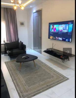 Units of Tastefully Furnished 1 Bedroom, Lekki Phr 1, Lekki, Lagos, Mini Flat (room and Parlour) for Rent