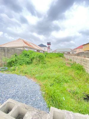Good Deal! Half Plot of Dryland Measuring 330sqm with Cofo, Peaceland Ogombo Via Abraham Adesanya Ajah, Ogombo, Ajah, Lagos, Residential Land for Sale