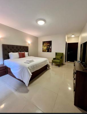 Luxury Furnished. 3bedroom Apartment with, Banana Island Ikoyi, Ikoyi, Lagos, Flat / Apartment for Rent