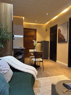 Luxury Furnished 1 Bedroom Mini Flat, Chevron, Lekki, Lagos, Mini Flat (room and Parlour) for Rent