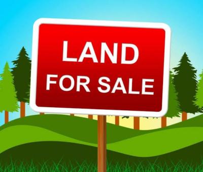 Bareland on Osborne, Osborne Road, Ikoyi, Lagos, Mixed-use Land for Sale