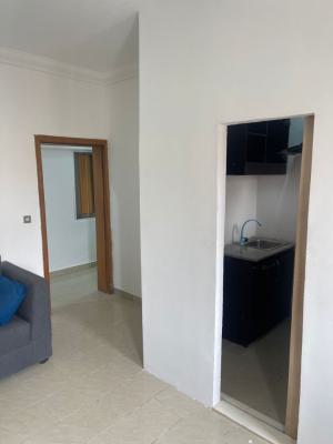 Massively Finished Mini Flat, Admiraty Way Lekki Phase 1, Lekki Phase 1, Lekki, Lagos, Mini Flat (room and Parlour) for Rent