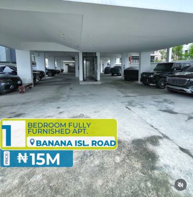Funished Mini Flat, Ikoyi, Banana Island, Ikoyi, Lagos, Flat / Apartment for Rent