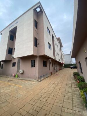 a Very Good Spacious & Serviced 1bedroom Flat, Jahi District with a Well Tarred Road, Jahi, Abuja, Mini Flat (room and Parlour) for Rent