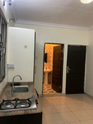 Luxury, Neat and Freshly Renovated Self Contained in a Secured Estate, Hopeville Estate, Ogidan, Sangotedo, Ajah, Lagos, Self Contain (single Rooms) for Rent