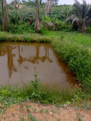 6 Fish Pond on One and Half Acres of Land, Apete, Ibadan, Samonda, Ibadan, Oyo, Factory for Sale