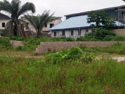 Half Plot of Land with C of O Title, Ogombo, Ajah, Lagos, Mixed-use Land for Sale
