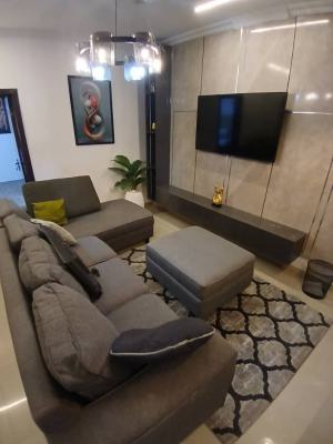 Fully Furnished and Serviced Mini Flat Apartment with Swimming Pool, E, Chevy View Estate, Chevron-lekki, Lekki, Lagos, Mini Flat (room and Parlour) for Rent