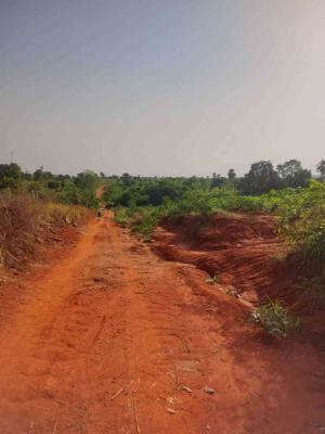 Investment Haven Where Modern Living Meets Timeless Elegance, International Airport Road, Anaocha, Anambra, Mixed-use Land for Sale