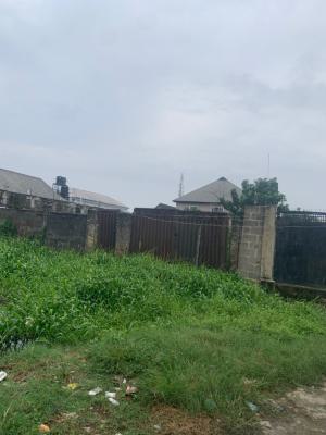 Full Plot of Dry and Gated Sweet Land on The Interlock Road, Off Mobil Road Ilaje, Ajah, Lagos, Land for Sale