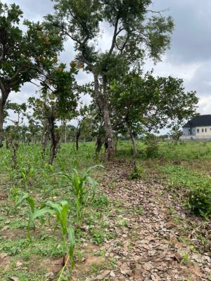 Premium Estate Plots in Chikakore, Kubwa -- Now Selling, Just By Champions Assembly, Kubwa, Abuja, Residential Land for Sale
