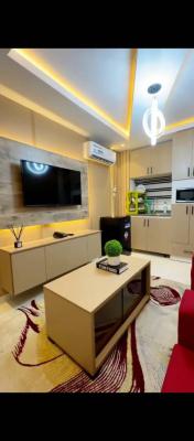 Luxurious One Bedroom Fully Furnished Apartment, Lekki Phase 1, Lekki, Lagos, Mini Flat (room and Parlour) for Rent