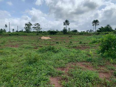 Buy and Build Land  in Asaba with a Luscious  Promo, International Airport Asaba, Oshimili North, Delta, Mixed-use Land for Sale
