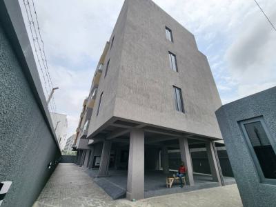 Contemporary Luxury 2 Bedroom Apartment with Bq, Lekki Ikate, Ikate Elegushi, Lekki, Lagos, Flat / Apartment for Sale