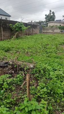 Half Plot of Land with Registered Survey, Nureni Yusuf Drive, Ojokoro, Ifako-ijaiye, Lagos, Residential Land for Sale