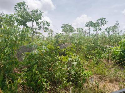 Prime 700 Sqm Plot, Off Ajose Street, Mende, Maryland, Lagos, Residential Land for Sale