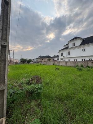 790 Fenced Corner Piece Land with Borehole, Carlton Gate Estate, Akobo, Ibadan, Oyo, Residential Land for Sale