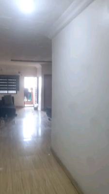 Standard N Executive  Two Bedroom Flat, Alagomeji, Yaba, Lagos, Flat / Apartment for Rent