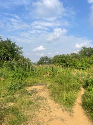1,453sqm Land, Katampe By Unique Garden and Atiku Schools, Katampe, Abuja, Residential Land for Sale